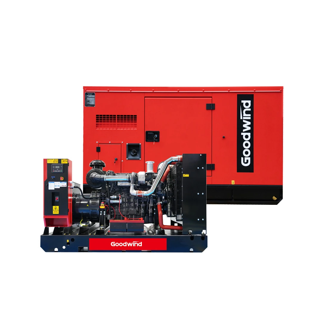 GOODWIND Compact canopy diesel generator set with open generator unit